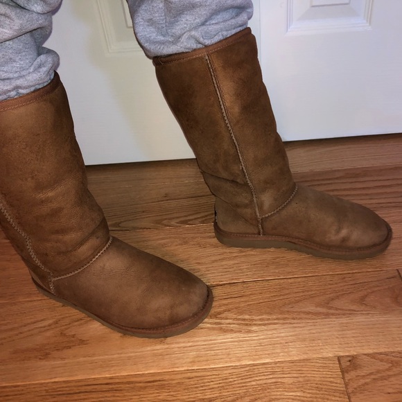 UGG Shoes - ugg classic tall boot